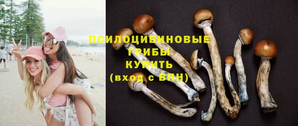 прущая мука Ладушкин
