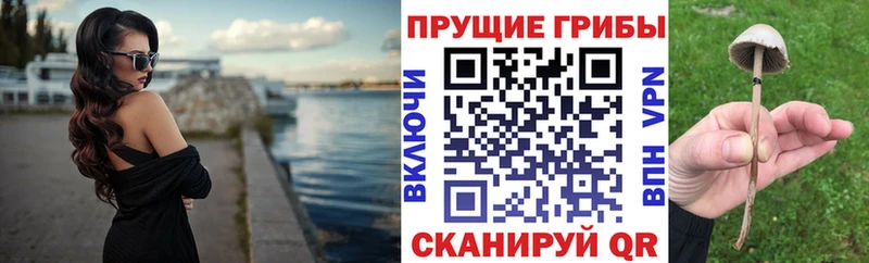 Галлюциногенные грибы прущие грибы  Хадыженск 
